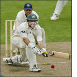 Healthcare Reform Isn't Cricket Healthcare Reform Isn't Cricket