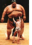No. The Big Guy Is CMS. The Little Guy Is Private Insurance Corporations.