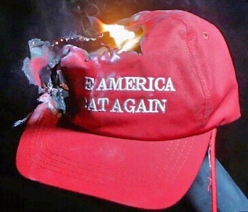 Burn MAGA